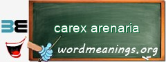 WordMeaning blackboard for carex arenaria